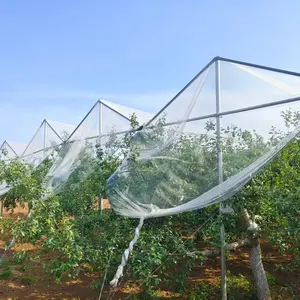 Heavy-Duty Anti-Hail Net 16.3x10ft Full Coverage Orchard Netting for Hail Birds & Insects Long-Lasting UV Protection Mesh for Orchards Vegetable Gardens & Greenhouses