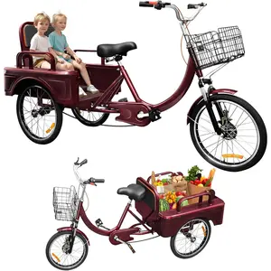 MOOITZ Adult Tricycle, 20 Inch 3-Wheel Bikes Carrying Passengers and Cargo, Trike for Adults with Front Baskets for Women, Seniors, Men, Low Step-Through Cruiser Bike for Cycling, Outing, Picnic, Red
