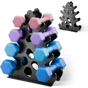 4 Tier Dumbbell Rack Weight Rack for Home Gym Dumbbell Stand for Free Weights