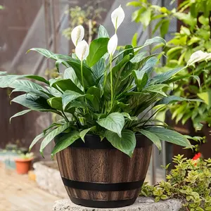 A potted plant with Bohemian whisky barrel stripe design, Rustic Wooden Planter, Whiskey Barrel Planter, this round wooden simulation flowerpot is suitable for indoor and outdoor use, which is very suitable for gardens and balconies.