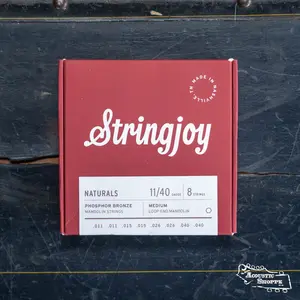 Stringjoy Mandolin Naturals Medium Gauge (11-40) Phosphor Bronze Strings