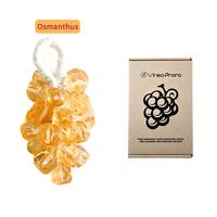 Hami Melon – 25 Apricot Round Grapes