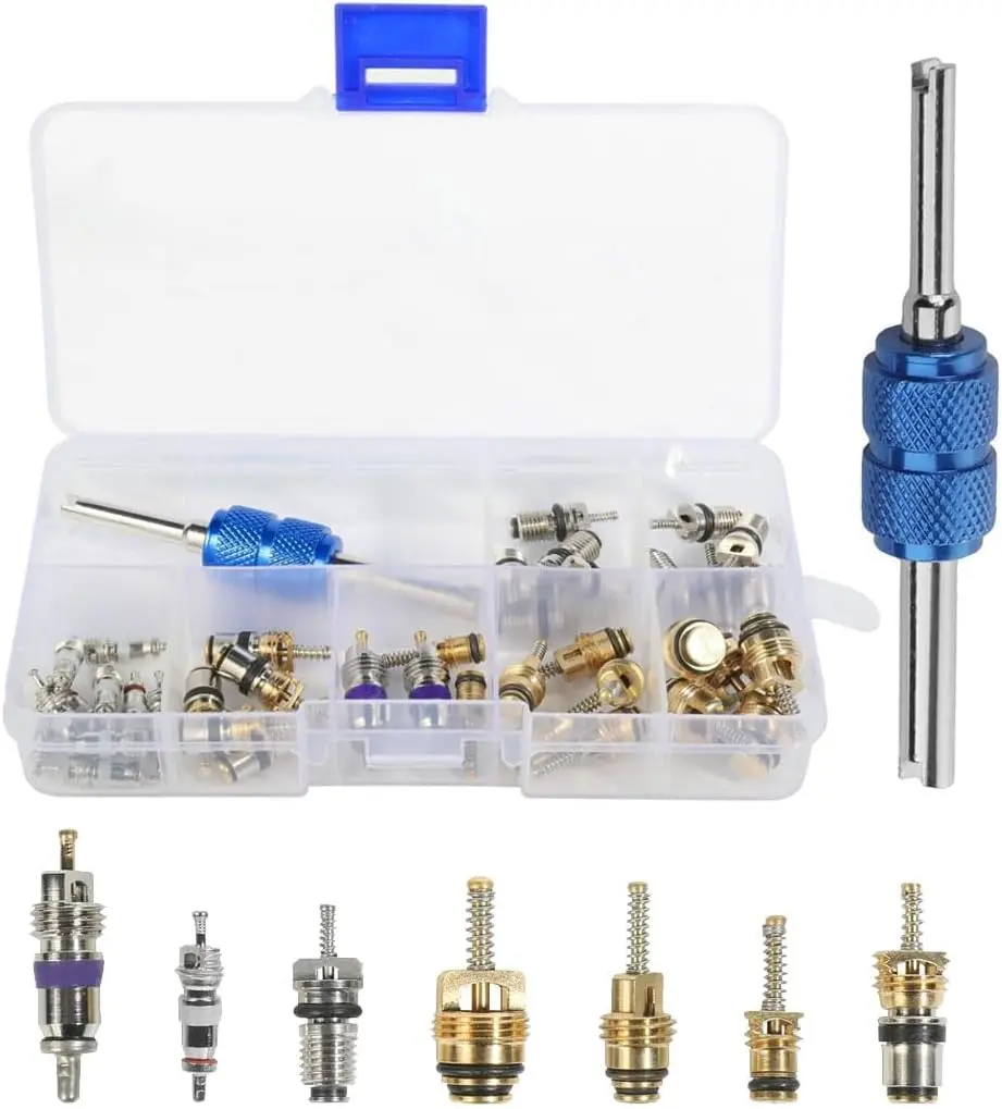 40PCS Car AC Schrader Valve Core Kit, Automotive Refrigeration R12 R134a Valve Stem Tool, Car Repair Accessory for Most Vehicles