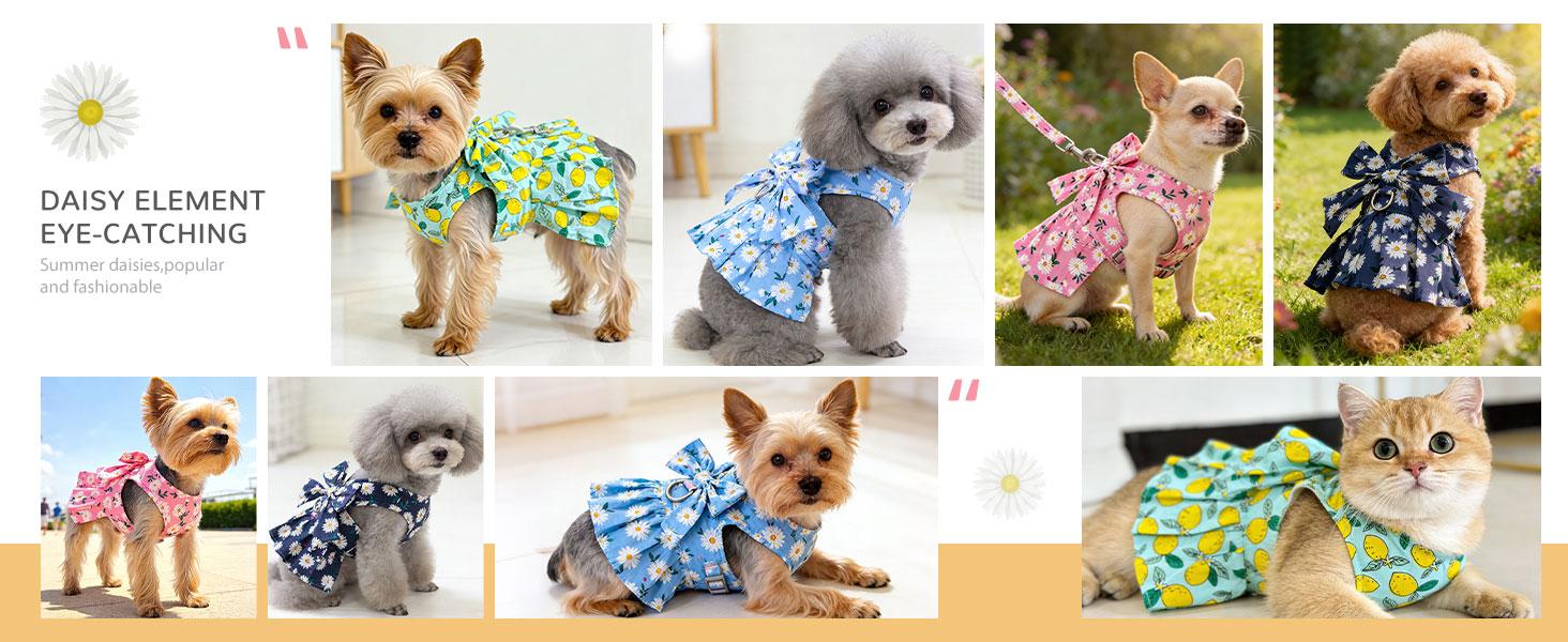 Dog Dress with Bowknot Harness & Leash Set – Floral Princess Outfit for Small Dogs & Cats, Breathable Spring/Summer Pet Clothes