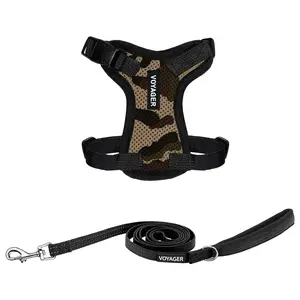 Voyager Step-In Lock Cat & Small Dog Harness and Leash Combo Set - Escape-Resistant Vest with 5ft Neoprene Handle Leash for Small Medium Large Cats - Adjustable, Breathable Mesh, Secure Lock by Best Pet Supplies