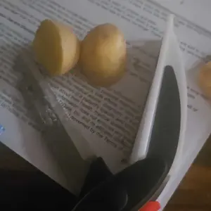 Vegetable Scissors, Kitchen Food Cutter, Meat Scissors, Quick Vegetable Slicer, Kitchen Chopping Scissors for Home Use, Kitchen Shears