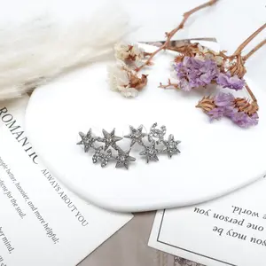 Pre-owned Chanel Silver Earrings T10252505