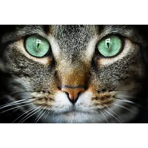 Cat Lovers Stationery Bundle