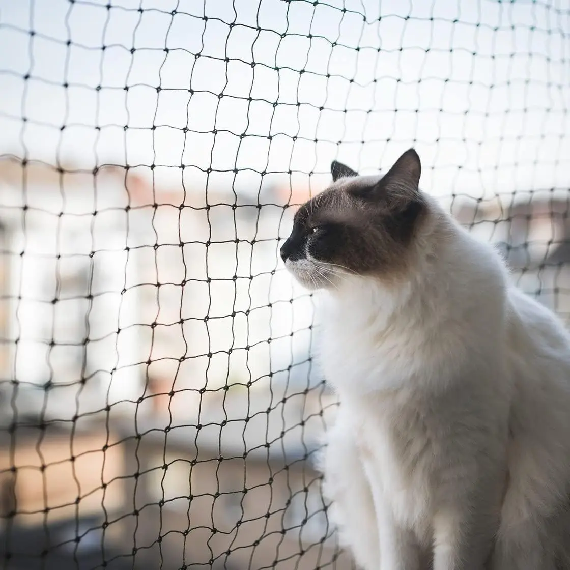 Cat Netting Balcony 10 * 13ft Pet Mesh Fence for Balcony Black Nylon Balcony Netting for Pets Anti-Fall Cat Net for Balcony and Windows