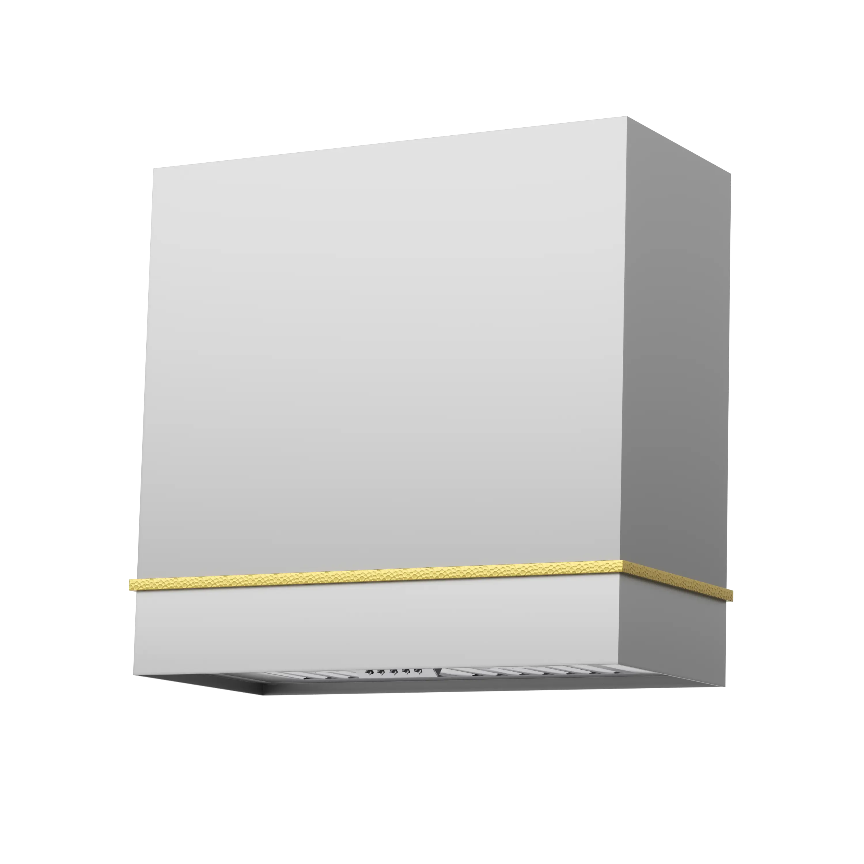 Akicon 30" Stainless Steel Wall Mount Range Hood with 600 CFM Vent Hood