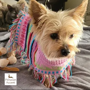 Baby Pink Alpaca Dog Poncho | Handmade Dog Coat XX0–20 | Warm Winter Pet Sweater
