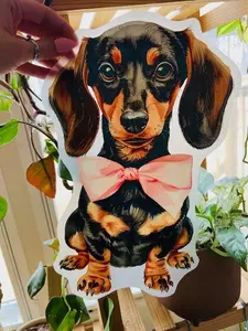 Dachshund Black With Pink Bow - Direct Print Film Transfer for T-Shirts, Cotton, Polyester & Blends - High-Quality DTF Print