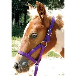 Jeffers Nylon "Grow With Me" Weanling Horse Halter