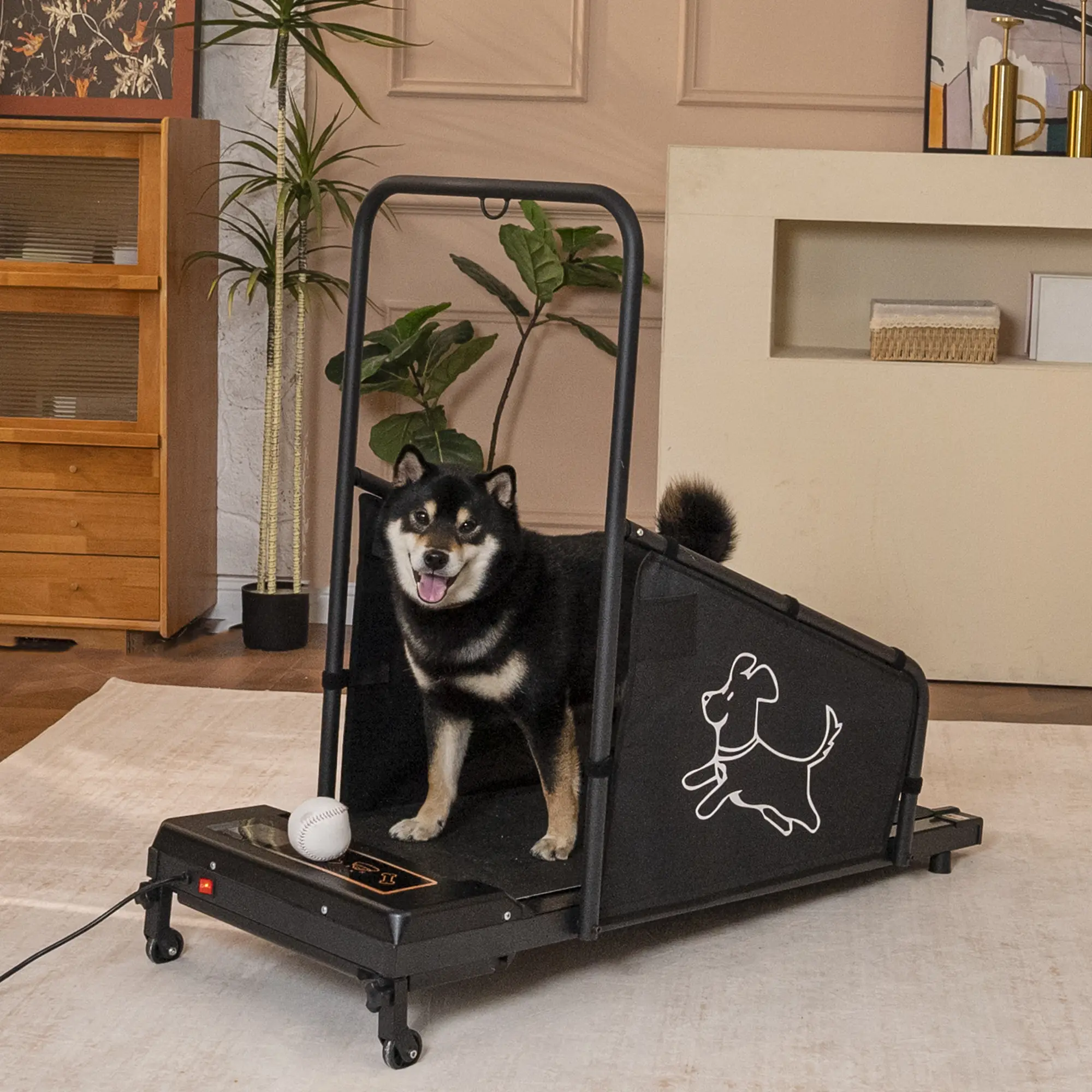 Medium Dog Treadmill, Pet Fitness Pacer with Large Running Belt & Remote Control, Plastic-Metal Build, Quiet 1.5HP Motor for All-Weather Indoor Run