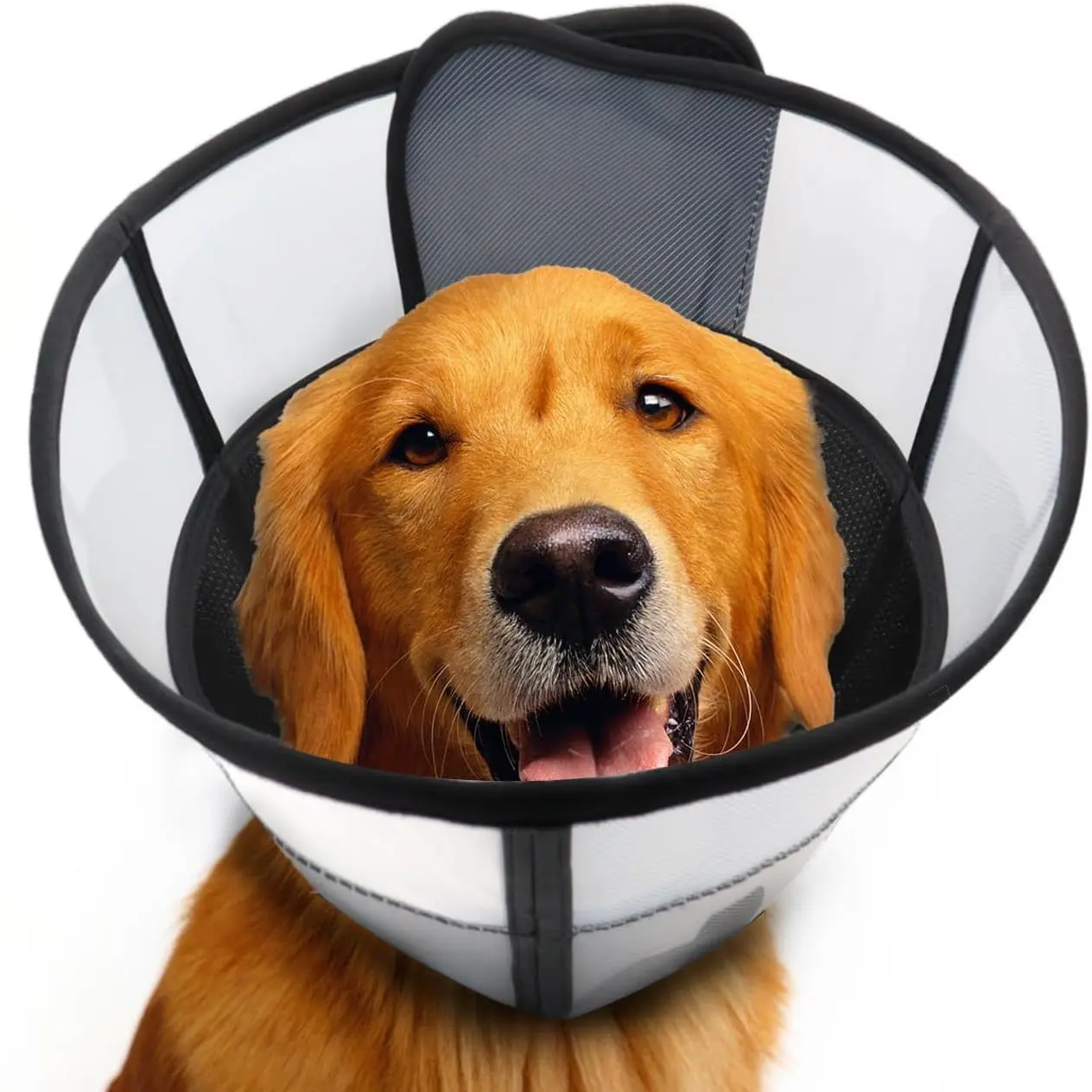 Elizabethan Cone for Cats And Dogs - Adjustable Pet Recovery Collar, Designed to Prevent Dogs And Cats From Licking And to Protect Them