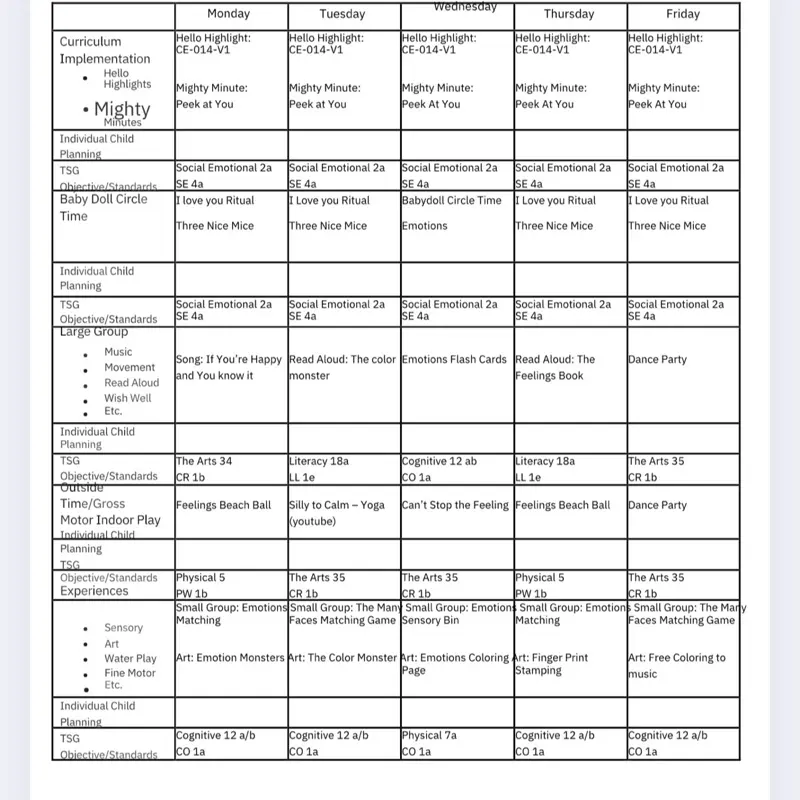 Emotions Lesson Plan for Infants and Toddlers - Daily Activities for Social and Emotional Development