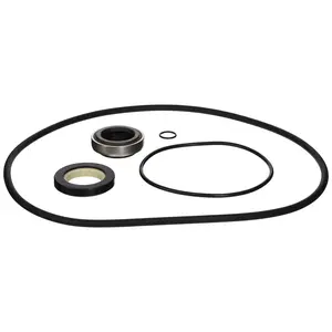 Hayward Internal Seal Kit | HCXP6004A