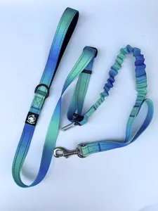 Tactical Leash