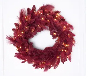 26" Illuminated Indoor/Outdoor Pampas Wreath by Kim Gravel