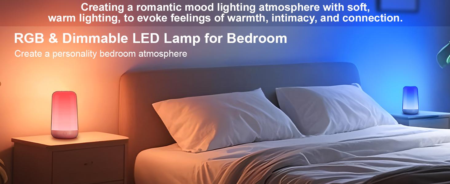 FRIDEKO HOME RGB Touch Bedside Lamp for Nightstand 4 Dynamic  White Tones Dimmable Mood Lighting 18-Hour Battery USB-C Charging Bedroom Living Room Nursery Kids Adult