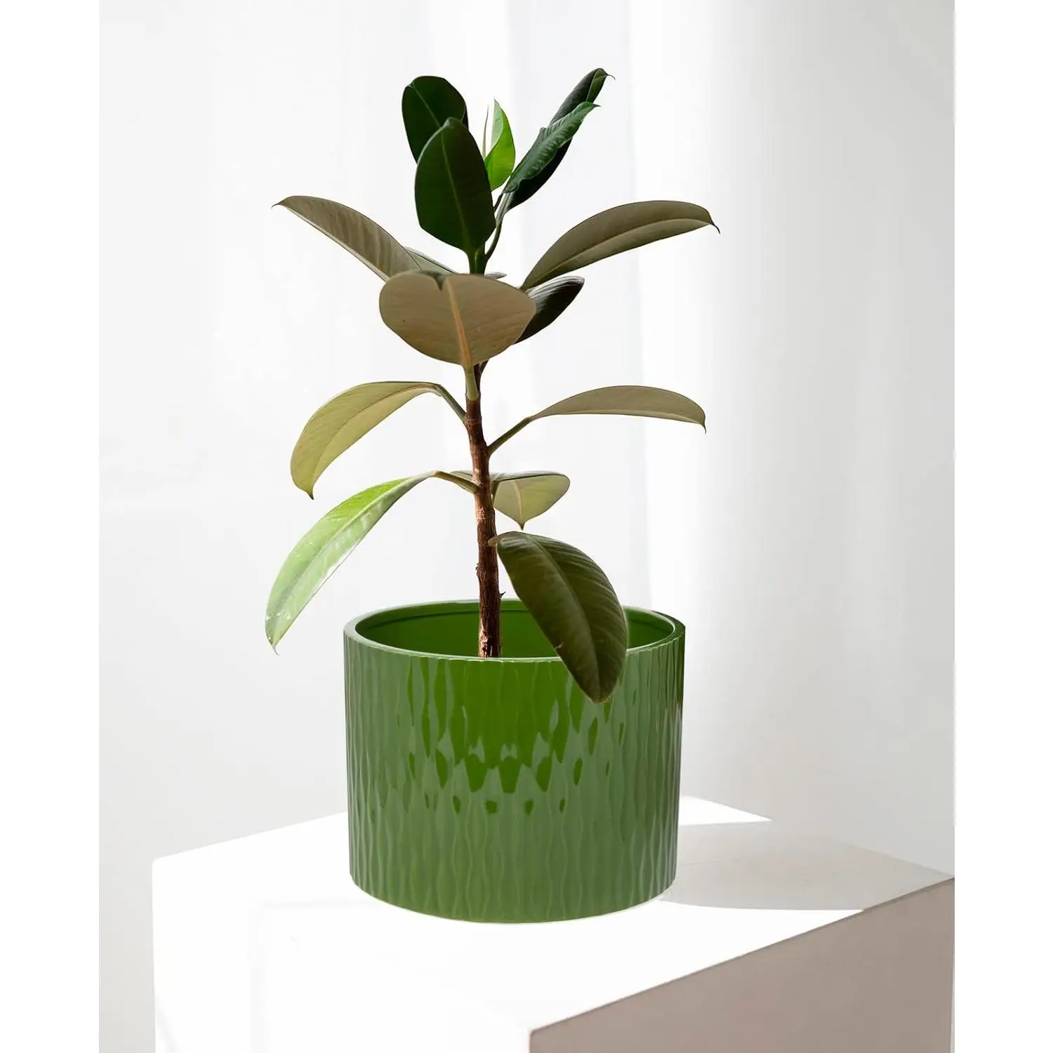 raised planter indoor 8x4 Raised Garden Bed