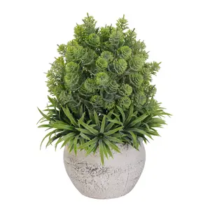 Artificial Succulent Plant Arrangement in Textured Cement Pot, Faux Greenery Tabletop Decor for Home Office Living Room