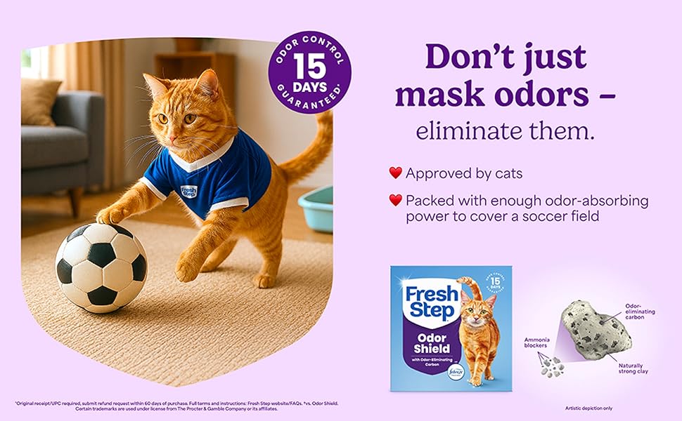 Fresh Step Clumping Cat Litter, Multi-Cat, Long Lasting Odor Control Kitty Litter with Activated Charcoal, Low Dust Formula, 14 lb