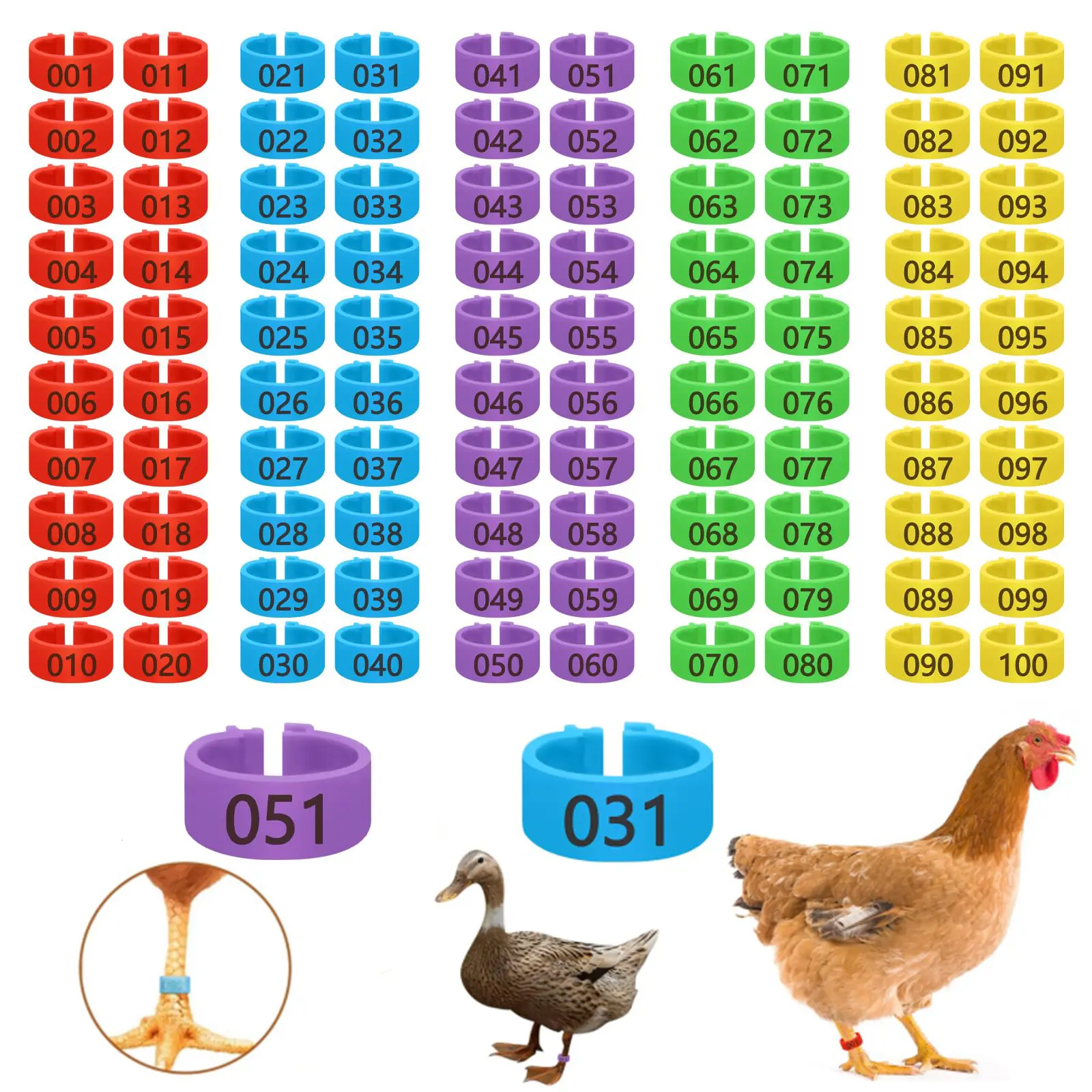 100Pcs Colorful Numbered Chicken Leg Bands, 0.62 Inch Poultry Leg Rings for 1.1-5.5 Lbs Chickens, Durable Clip-On Identification Tags for Ducks Chickens and Goose