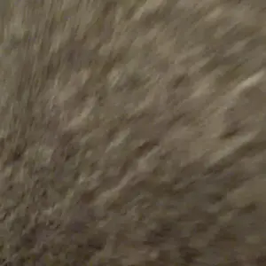 review image 8