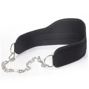 Pull-Up Belt Weighted Dip Belt with Chain, Double D-Ring Weightlifting Back Support Strap, Home Gym Equipment, Waist Belt