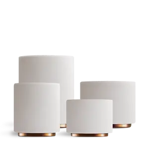 Monty Milk Art Cups Monty Milk Art Cups