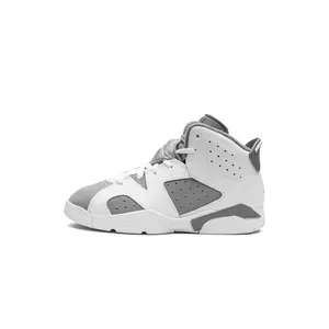 Air Jordan 6 PS "Cool Grey" DV3605 100