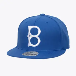 Mens Mitchell & Ness MLB SINCE DAY ONE FITTED COOP DODGERS