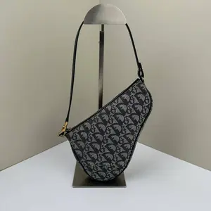 Pre-owned Dior Canvas Shoulder Bags Saddle Mini Oblique LNL0407