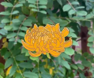 Yellow Chrysanthemum Hard Enamel Pin - Anime/Manga/Manhwa/Manhua
