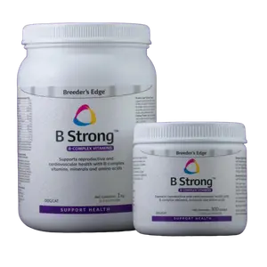 Breeder's Edge B Strong Vitamin Powder - Energy Boost Supplement, Reproductive Support for Dogs & Cats, Assorted Sizes