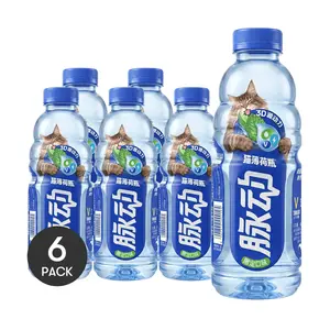 Mizone 6 Pack Electrolyte Sports Drink 20.29 fl oz Each - Vitamin Water, Hydration Recovery, Limited Edition Chinese Beverage