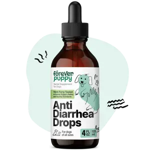 Anti Diarrhea Liquid Drops for Dogs - Psyllium Husk Fiber Supplement for Dogs - Prebiotic Drops for Loose Stool & Digestive Health - Vitamins & Supplement for Diarrhea Relief - 4 oz