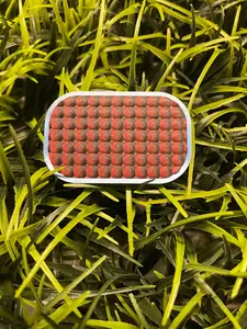 Haptic Fidget Slider - Bumps Texture