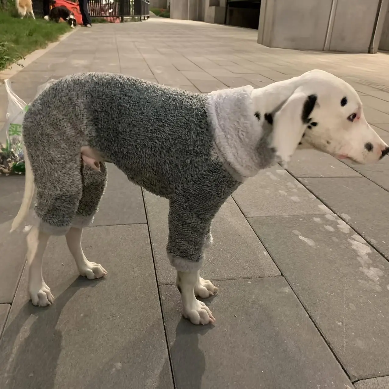 Pet Dog Fashionable European and American Style Double-Sided Plush Warm Bodysuit for Dalmatian, Greyhound Puppy Rabbit Hunting Hound Whippet Fine-Coated Retriever. Autumn Winter Cozy Onesie