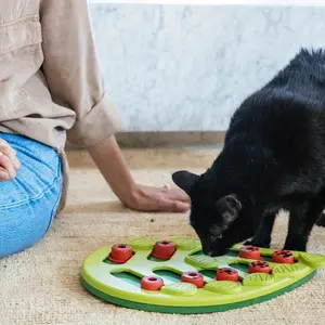 Interactive Cat Puzzle Slow Feeder Bowl, Pet Snack Puzzle Bowl, Pet Intelligence Toy, Fun and Engaging for Cats, Model Xinghao