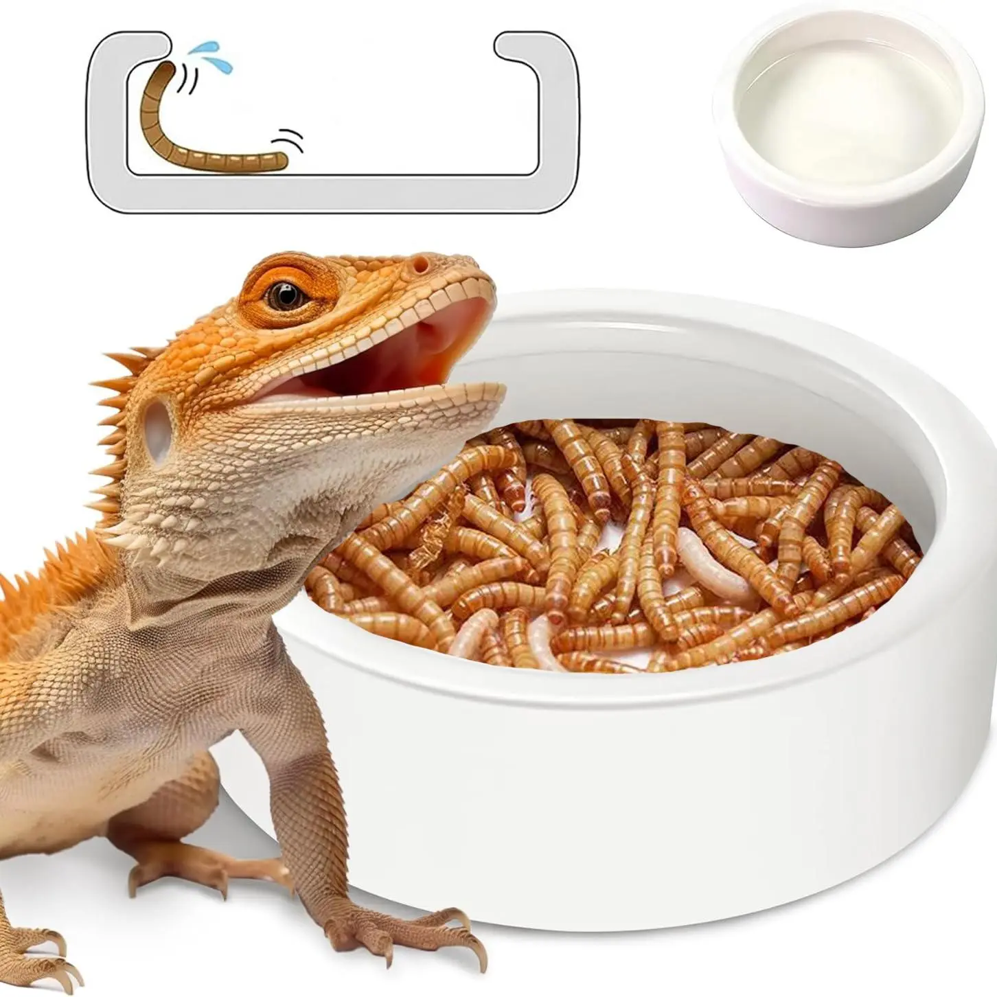 Ceramic Reptile Escape Proof Feeding Food Bowl, Durable Smooth Design, Easy Clean Pet Supplies, Essential Care Accessory for Lizards, Geckos, Frogs