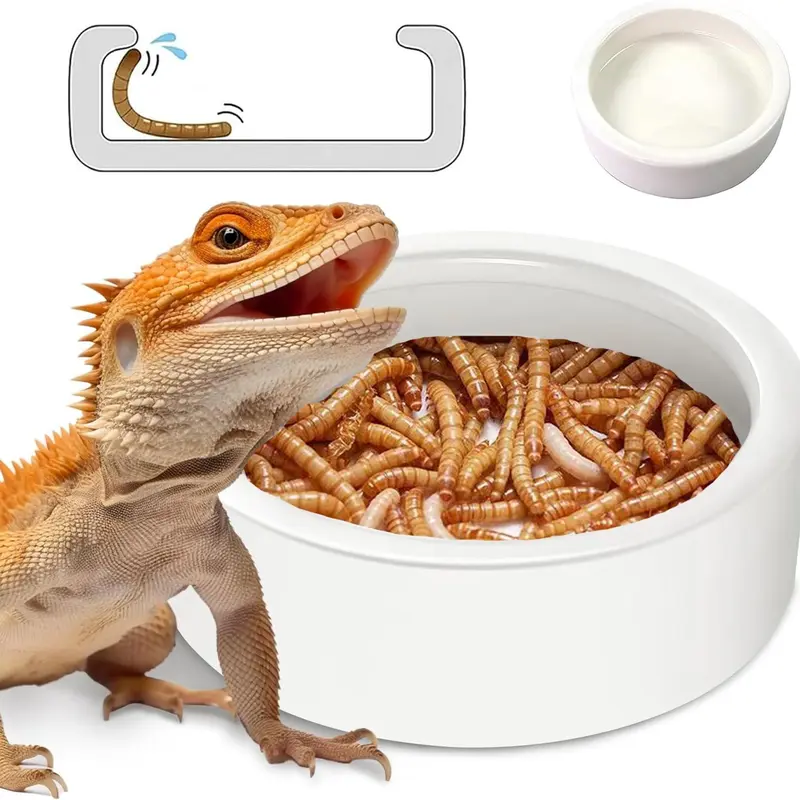 Ceramic Reptile Food Bowl, 1 Count Anti-escape Design Pet Feeding Bowl Feeder, Smooth & Durable Design Pet Feeding Supplies for Lizard, Gecko, Cricket, Parrot, Frog