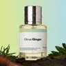 Citrus Ginger, Dossier, Men Perfume, Eau de Parfum, 50ml, Peppermint, Lemon, Ginger, Vetiver, Pink Pepper, Nutmeg, Sandalwood, Cedarwood