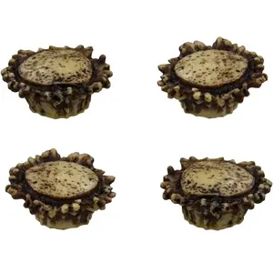 Antler Drawer / Cabinet Knobs (4 Pack) - 2 Sizes of Screws and Washers Included