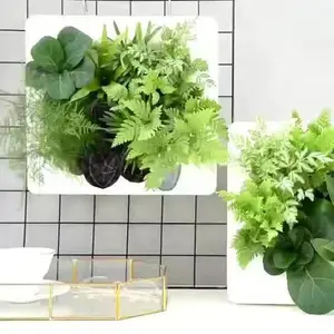 Modern Wall-Mounted Live Planter, White Frame, Decorative Indoor Planter, Easy Care 12" x 12" x 5"