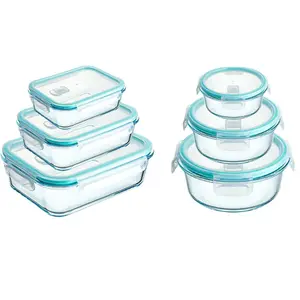 Borosilicate Glass Sealed Bento Box