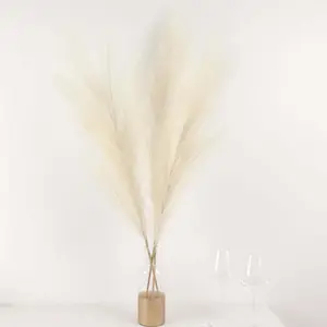 3 Stems Artificial Pampas Grass Decor 44" Cream - Fluffy Faux Ornamental Grass Branches
