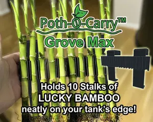 Poth-O-Carry® Grove Max: Lucky Bamboo wall for the rim of your aquarium
