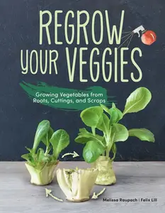USED-Regrow Your Veggies: Growing Vegetables from Roots, Cuttings, and Scraps by Raupach, Melissa (Paperback)
